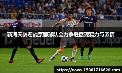 新泻天鹅迎战京都球队全力争胜展现实力与激情